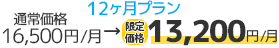 12ヶ月プラン 通常価格16,500円/月→限定価格13,200円/月