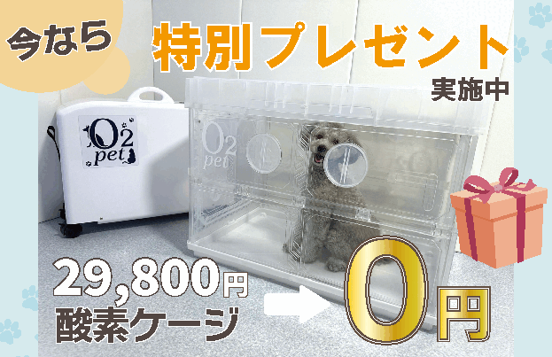 うちの子の自己回復力を高めると健康寿命がのびるってホント！？自宅で使える酸素室「O2 Charege」がスゴイ！