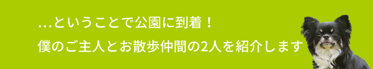 …ということで公園に到着！僕のご主人とお散歩仲間の2人を紹介します