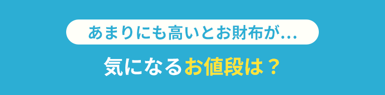 あまりにも高いとお財布が… 気になるお値段は？