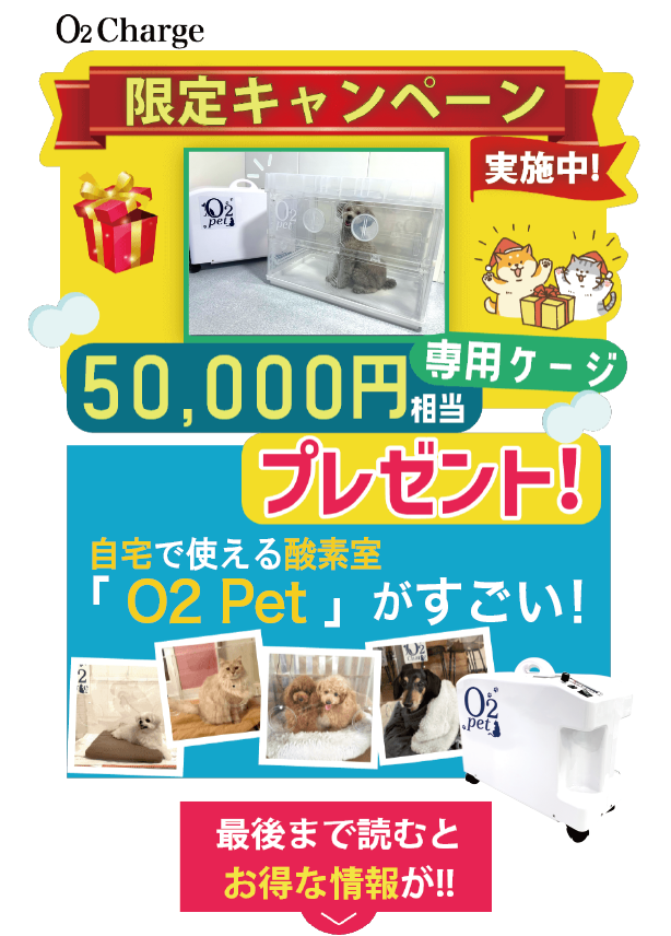 うちの子の自己回復力を高めると健康寿命がのびるってホント！？自宅で使える酸素室「O2 Charege」がスゴイ！