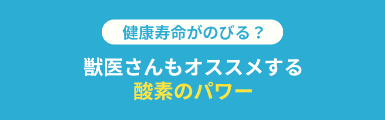 健康寿命がのびる？ 獣医さんもオススメする酸素のパワー