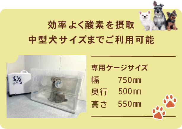 効率よく酸素を摂取 中型犬サイズまでご利用可能 専用ケージサイズ 幅750mm 奥行550mm 高さ550mm