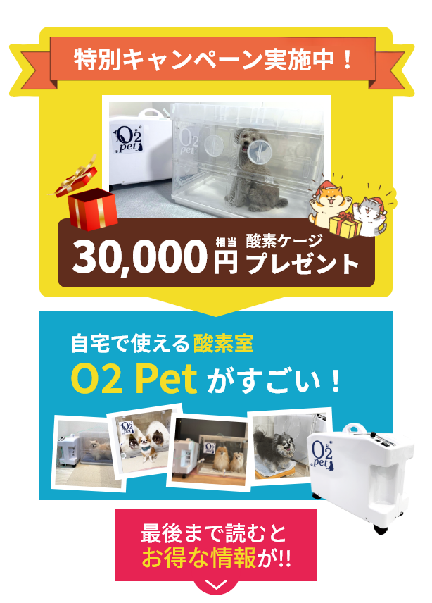 うちの子の自己回復力を高めると健康寿命がのびるってホント！？自宅で使える酸素室「O2 Charege」がスゴイ！