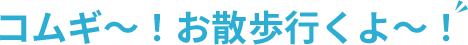 コムギ～！お散歩行くよ～！