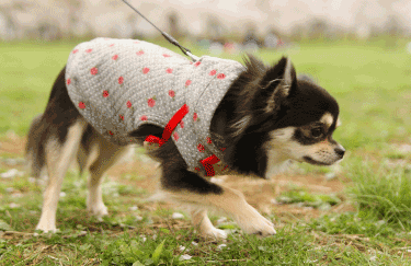 言えないだけで苦しんでる