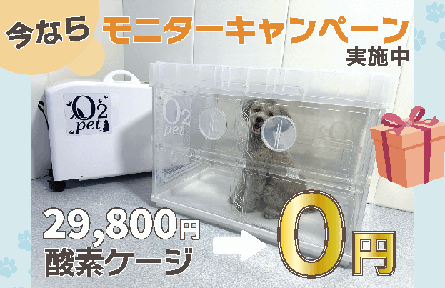 モニターキャンペーン