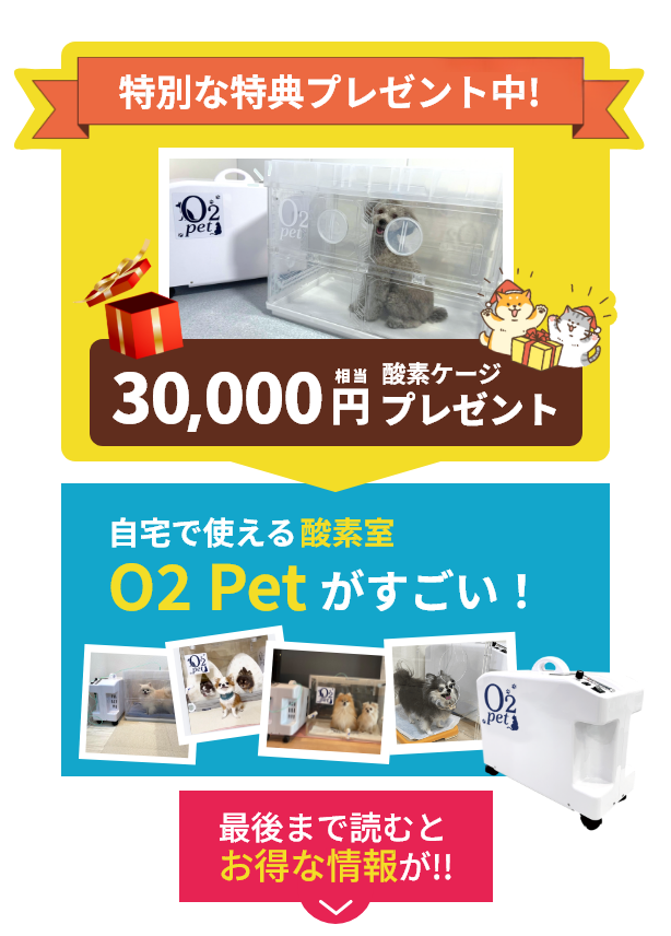 うちの子の自己回復力を高めると健康寿命がのびるってホント！？｜O2